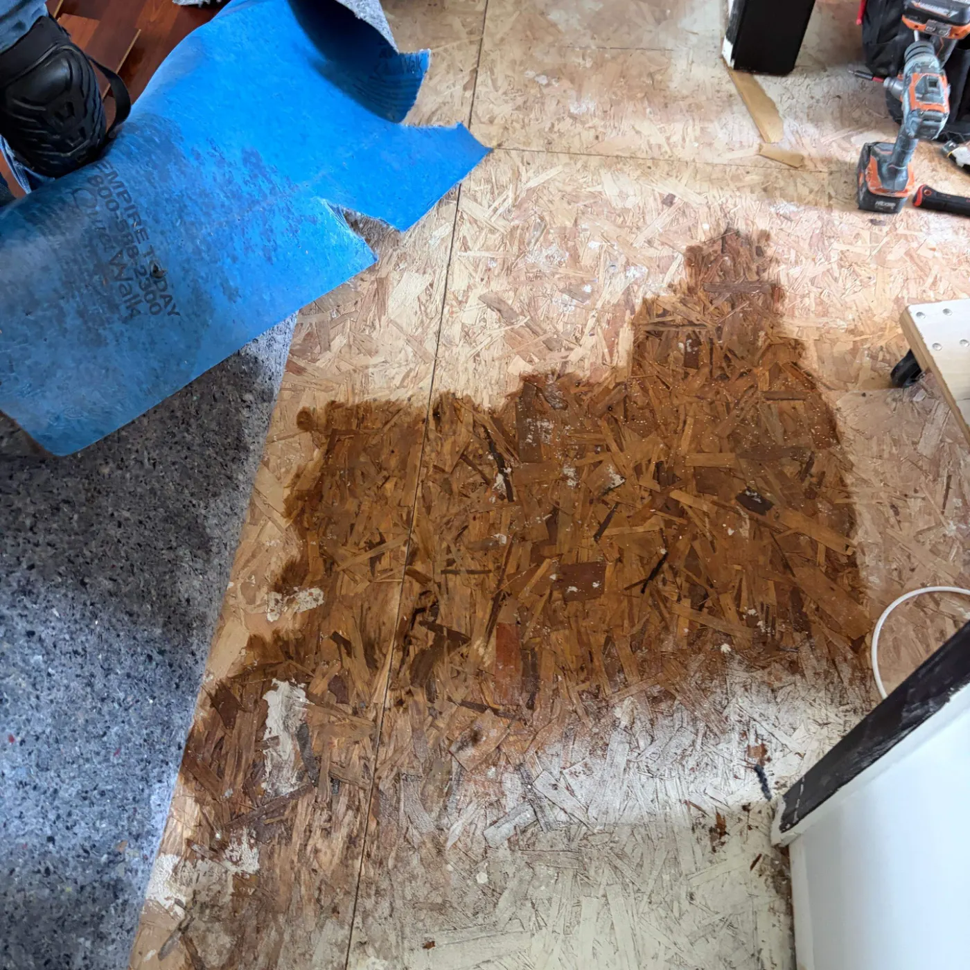 Moisture meter reading on drywall in Springmill water loss